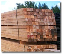Rough Timbers 4x4
