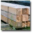 Rough Timbers in Thunder Bay Ontario